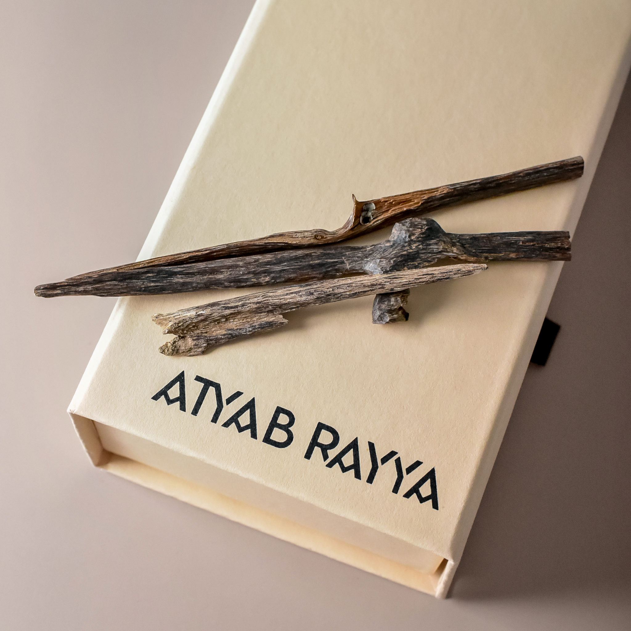 Atyab Rayya
